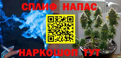 амф Анжеро-Судженск