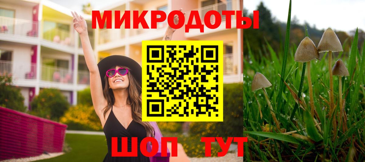 Грязи  Псилоцибиновые грибы Psilocybe  Вход с VPN  Галлюциногенные грибы мухоморы 