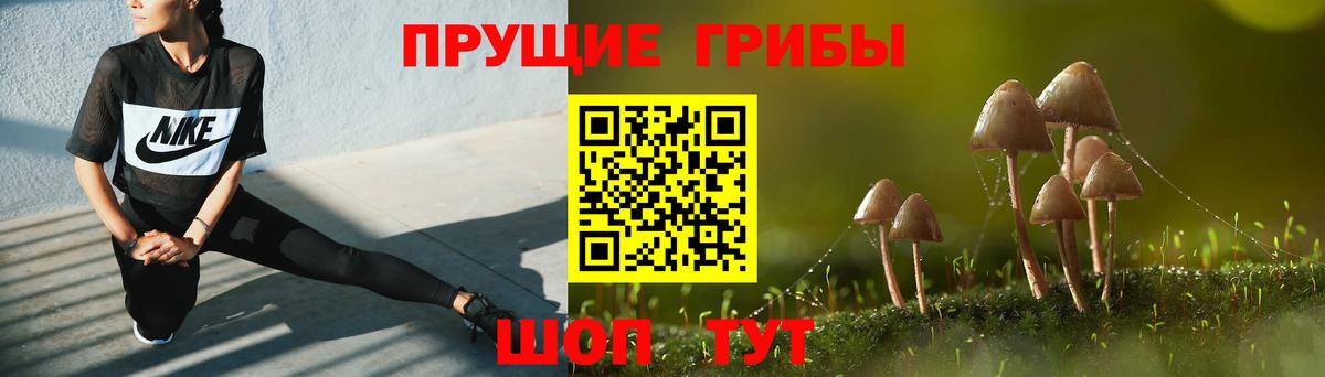 Галлюциногенные грибы прущие грибы Грязи